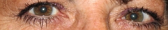 Img_7296.1