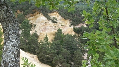 P5221960