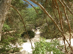 P5222008