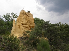 P5222019