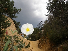 P5222032