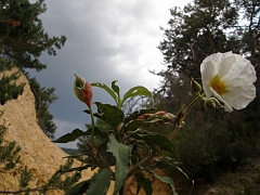 P5222033