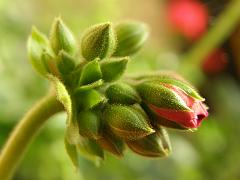 P6170266