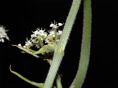 P7311119