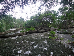 PB263574