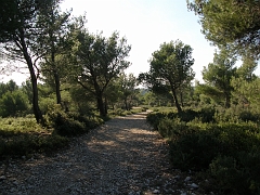 PB263614