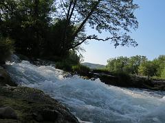 IMG_2596