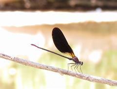 Img_2476.1
