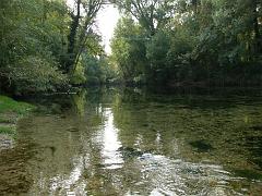 PA233279