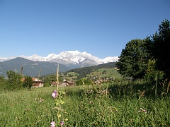 P7310801
