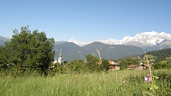 P7310803