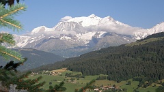 P7310822