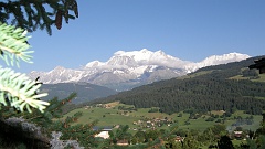 P7310823