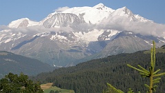 P7310830