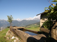 P7310845