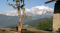 P7310850