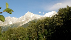 P7310887