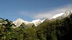 P7310894