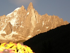 P7311004