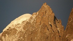 P7311011