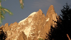 P7311034