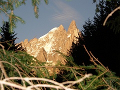 P7311039
