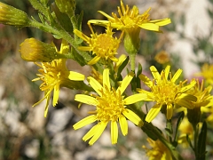 PA110580