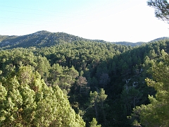 PA110594